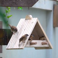Bird Feeder