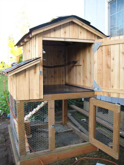 How to Build a Chicken Coop for Beginners