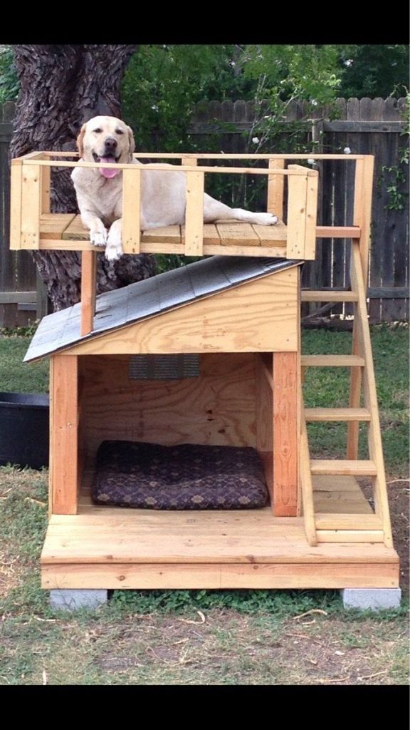 How to Build a Dog House