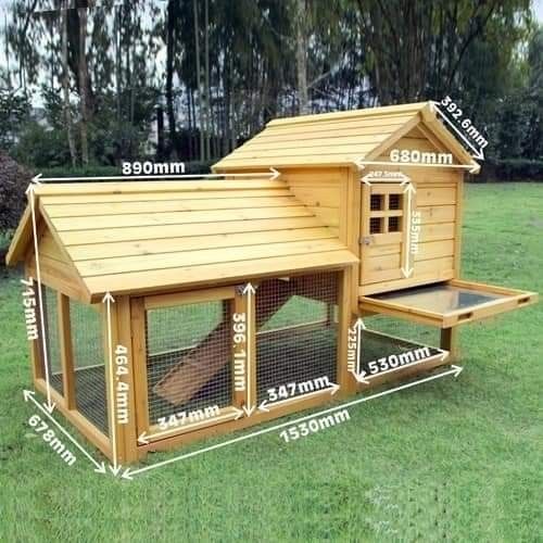 How to Build a Chicken Coop for Beginners