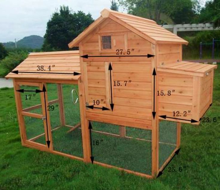 How to Build a Chicken Coop for Beginners