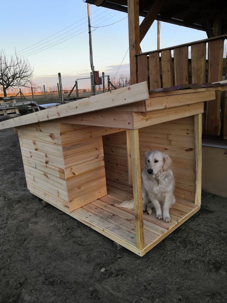 How to Build a Dog House