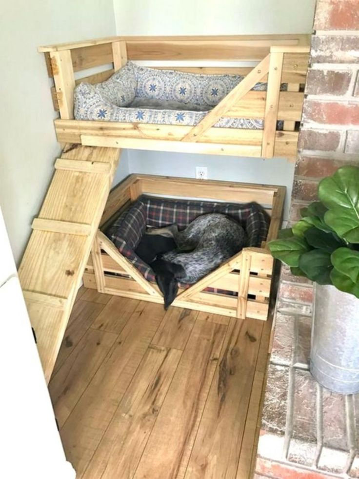 DIY Wooden Pet Bunk Bed