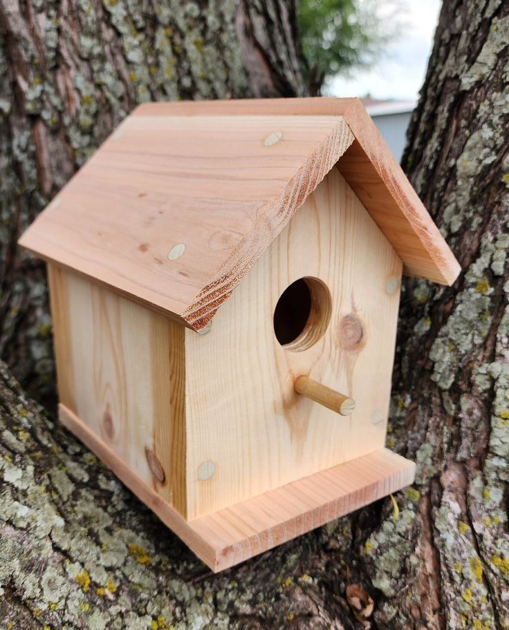 Simple One-Board Birdhouse