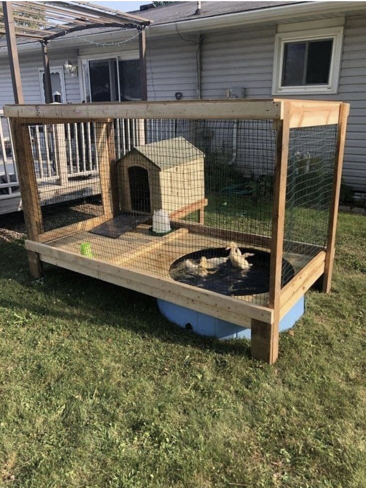 a Duck Coop