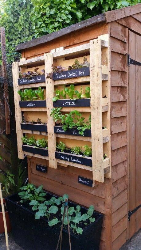 Pallet Herb Garden