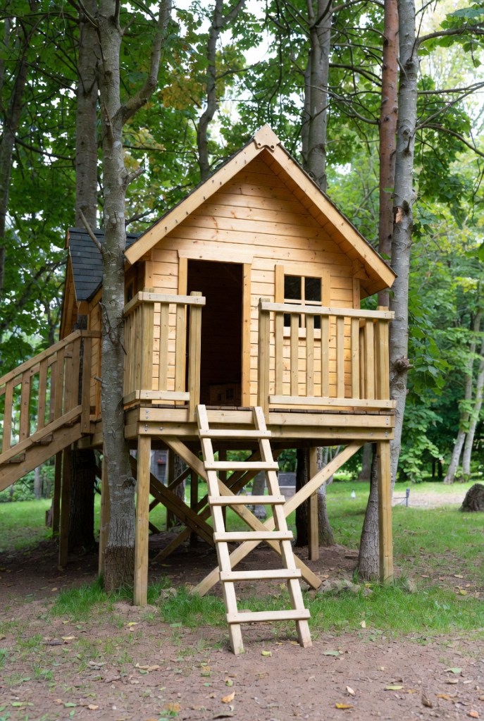 Treehouse or Play Structure