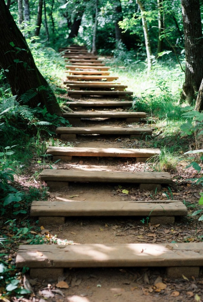 Wooden Walkways and Pathways